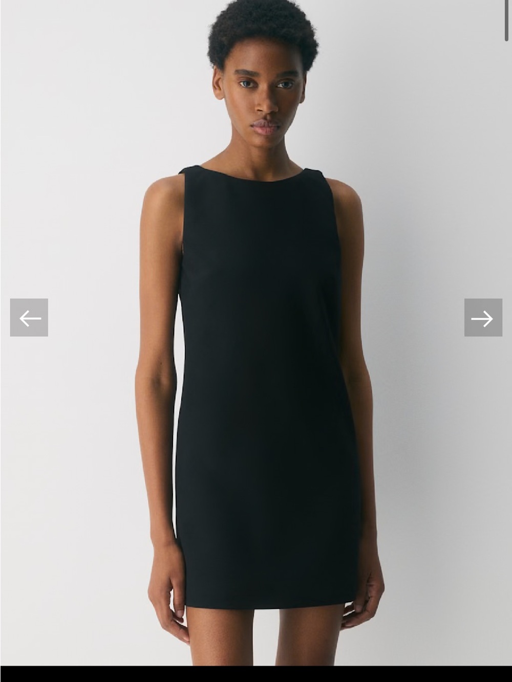 Aritzia Elegant Black Sleeveless Mini Dress